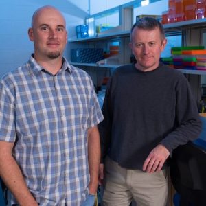 Ryan Garrick (left), UM associate professor of biology, and Colin Jackson, professor of biology and associate chair for graduate studies, are recipients of a National Science Foundation award to explore the Earth’s biodiversity. Photo by Kevin Bain