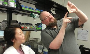 UM biologist Patrick Curtis examines bacterial specimens with one of his students.