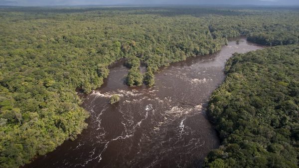 The Potaro River in Guyana flows 140 miles before flowing into the Essequibo River, Guyana’s largest river. The blue tarantula was discovered in the Potaro Plateau area. Submitted photo by Andrew Snyder
