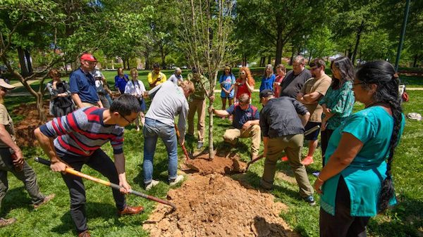 UM Landscape Services and students celebrate Arbor Day with a hands-on tree planting ceremony in the Grove during Green Week 2017. Photo by Robert Jordan/Ole Miss Communications