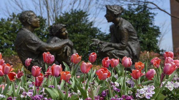In conclusion of Women’s History Month, celebrate with accomplishments made by great UM women. Photo by Thomas Graning/Ole Miss Communications