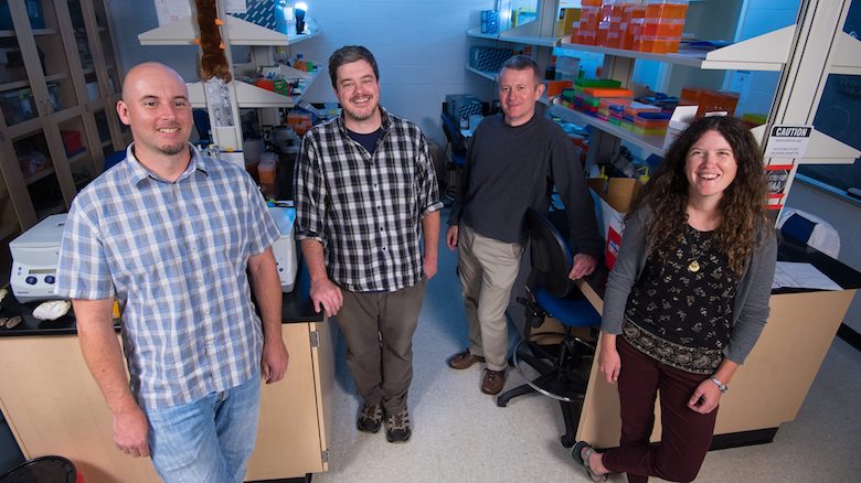 Two UM professors, Ryan Garrick (left) and Colin Jackson (third from left), are working in tandem with University of Alabama biological sciences professors Carla Atkinson (right) and Jeff Lozier on National Science Foundation awards studying the Earth’s biodiversity. Photo by Kevin Bain/