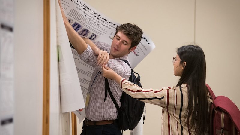 A UM student sets up for his poster presentation at the fifth annual University of Mississippi Research Day. The event brought together researchers from the Oxford campus and the University of Mississippi Medical Center to learn about one another’s research interests and possibilities for collaboration. Photo by Megan Wolfe