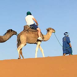 Arabic Language Flagship